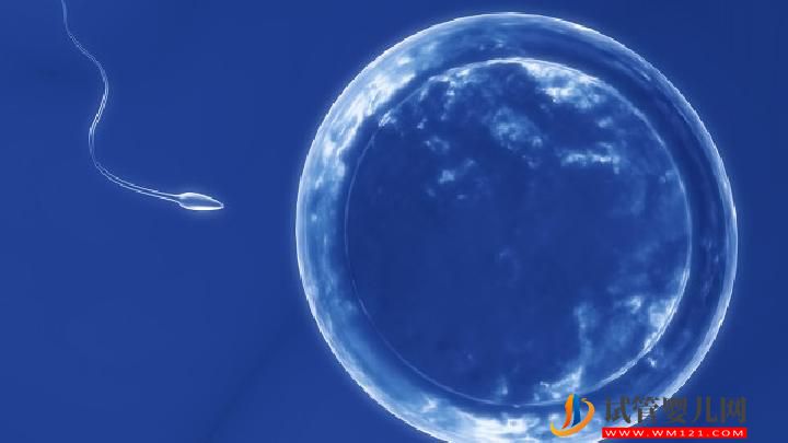 男性不育是由什么原因引起的?治男性不育有這4個(gè)方法(圖1) 男性不育是由什么原因引起的?治男性不育有這4個(gè)方法(圖1)