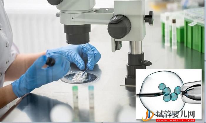 為何選擇去澳大利亞做試管嬰? 為何選擇去澳大利亞做試管嬰兒?(圖1)