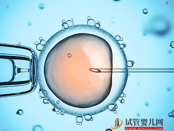 單身可以去越南做試管嬰兒?jiǎn)幔?圖1)