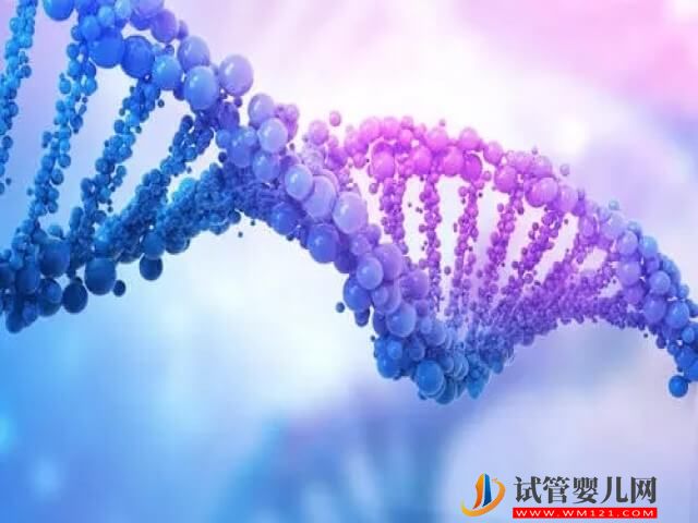 1號染色體部分缺失的鮮胚還能進行試管移植嗎？(圖1)