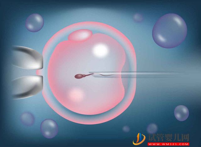 三代試管嬰兒精卵結合流程解析，具體過程分為這幾步(圖1)