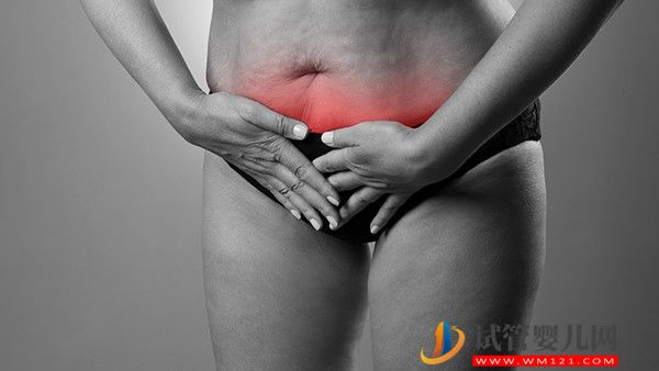 卵巢大小正常范圍 卵巢早衰能生孩子嗎(圖1) 卵巢大小正常范圍 卵巢早衰能生孩子嗎(圖1)