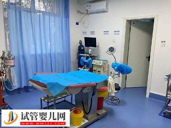 人授成功與否不只和授精時間有關，還受胚胎質量影響！(圖1)