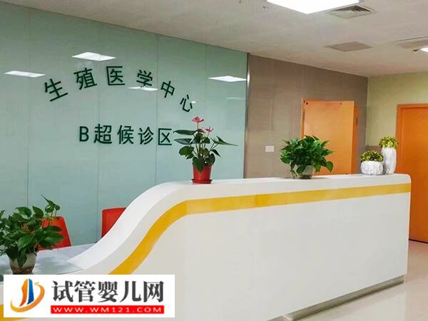 人授成功與否不只和授精時間有關，還受胚胎質量影響！(圖2)