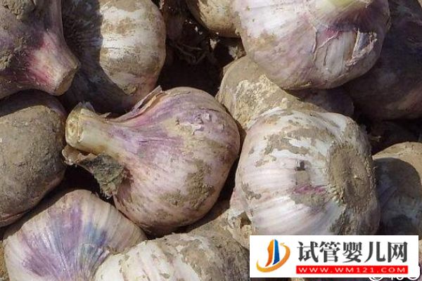 取卵后醫(yī)生談話談啥、談多久看這，專家：時間越久暗示...(圖1)