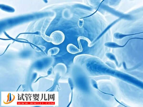 男性的精子活力達(dá)到多少才可以做二代試管嬰兒(圖1)