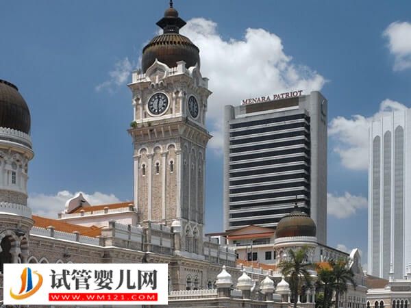 深入解析馬來西亞試管嬰兒優(yōu)勢，妊娠率不錯是其一(圖1)