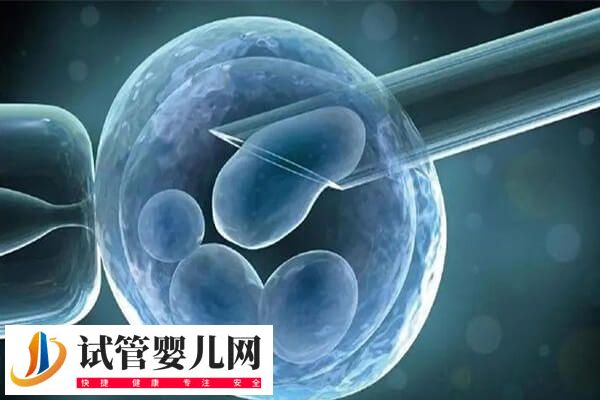 二胎移囊胚是一個(gè)還是2個(gè)好(圖2)