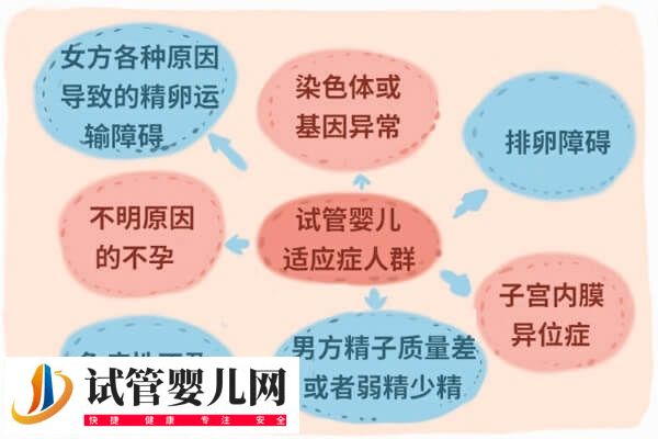 國內(nèi)做第三代試管嬰兒有哪些條件