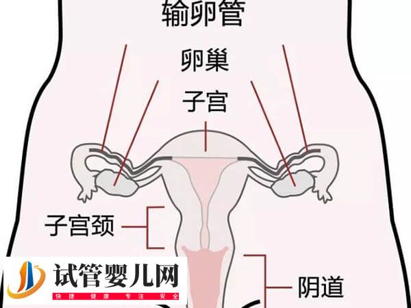 子宮切除后怎么保養比較好