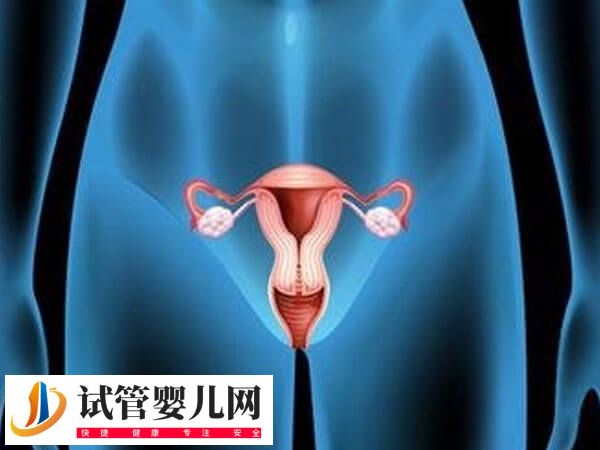 子宮切除后怎么保養(yǎng)比較好(圖2)