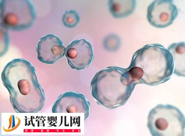 試管移植第四天出血是怎么回事(圖2)