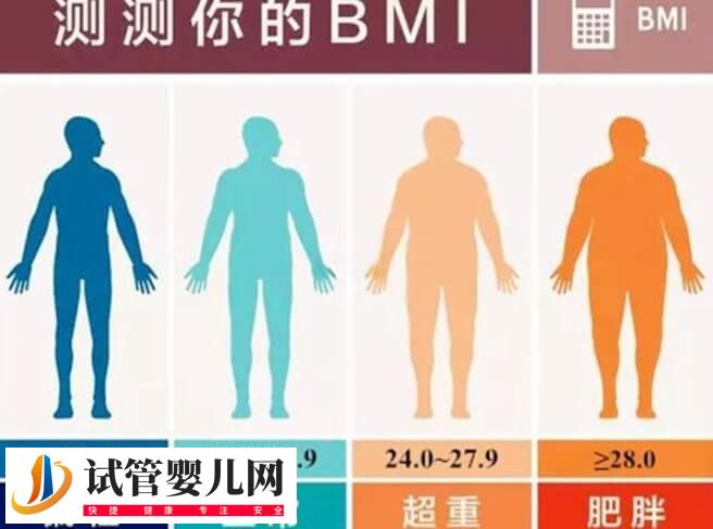 試管移植為什么要減肥