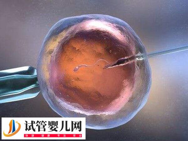 排卵過后子宮內膜多少能做試管移植(圖1)