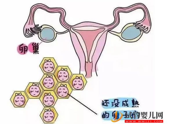 三代試管嬰兒 Cell:重磅!全球首位女性艾滋病患者或已被治愈,特殊干細胞移植(圖2)