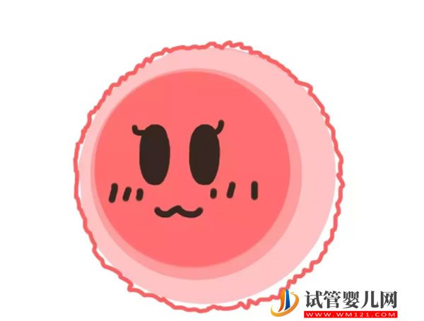 桂林興安縣試管嬰兒哪里可以做，桂林興安縣試管嬰兒哪里可以做啊 (圖1)