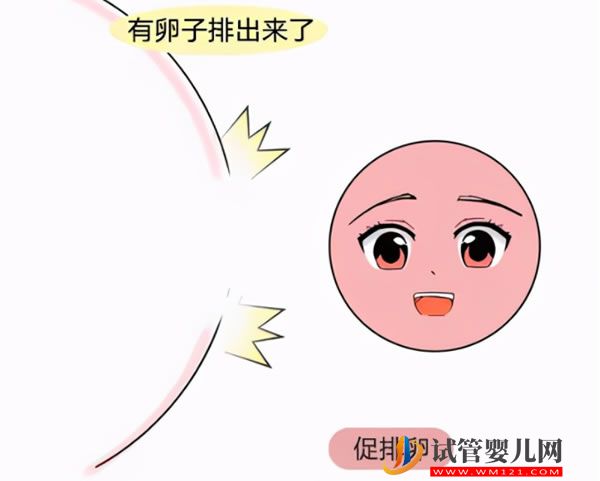 美國試管嬰兒費用全攻略（包括費用+檢查項目）(圖2)