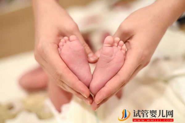 精液的常規檢查(圖1)