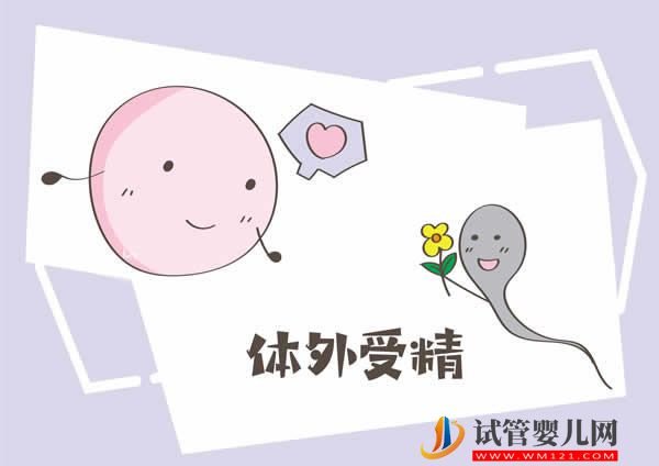 為什么年輕女性也會出現卵巢早衰的問題？(圖5)