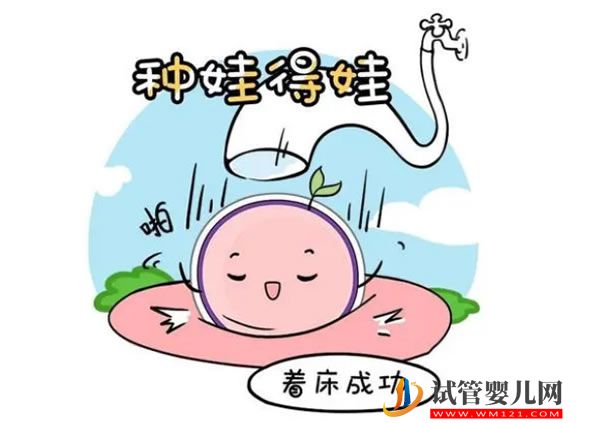 泰國第三代試管嬰兒能避免兔唇的發生嗎(圖1)