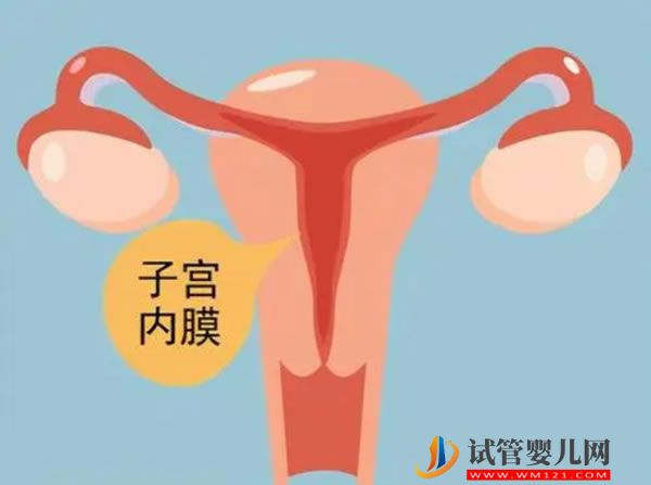試管之窗 美國存卵子更好嗎?美國冷凍卵子去哪兒好?(圖1)