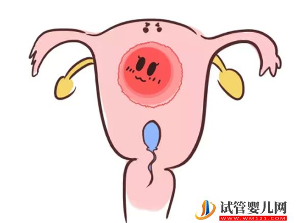 試管之窗 人工受孕是多少錢(圖1)